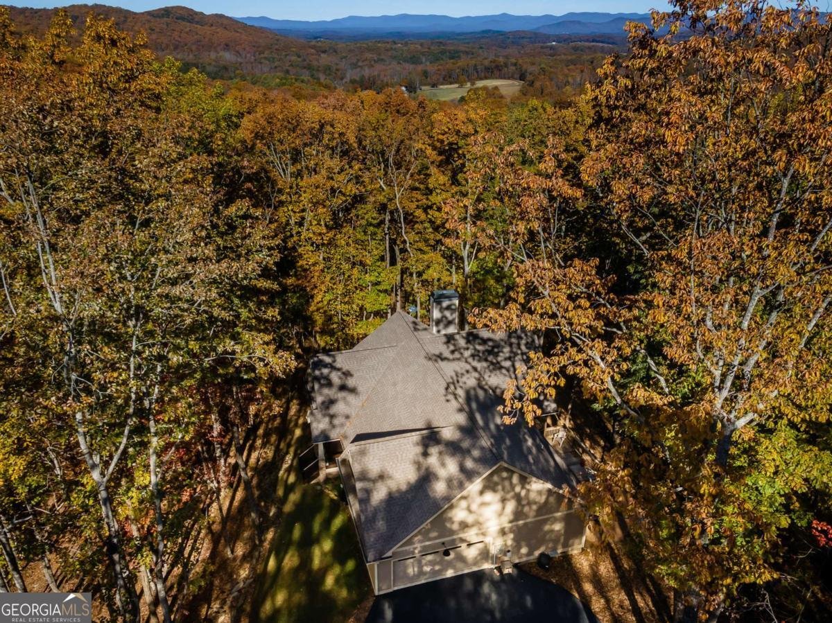 597 Trailwood Drive Ellijay - 6
