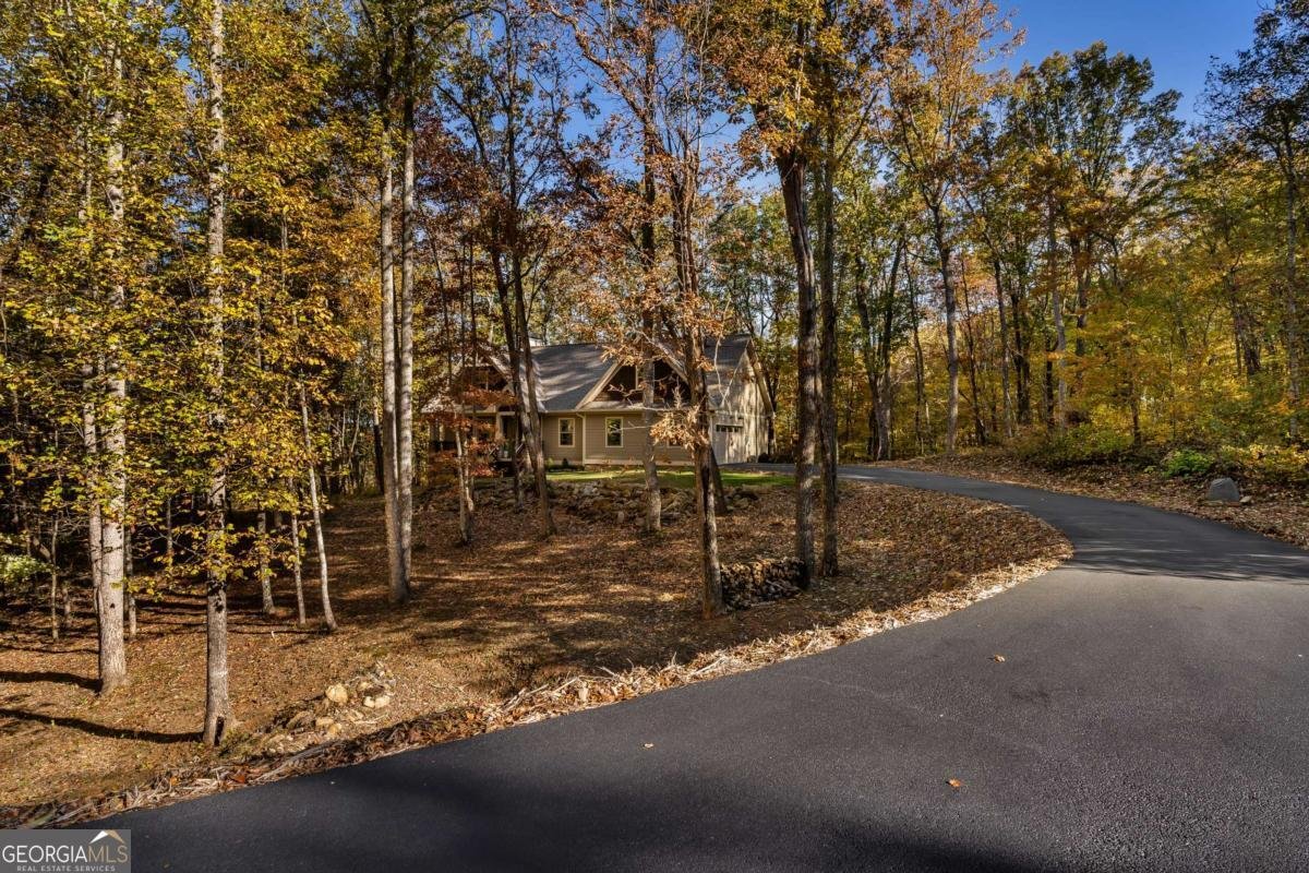 597 Trailwood Drive Ellijay - 7