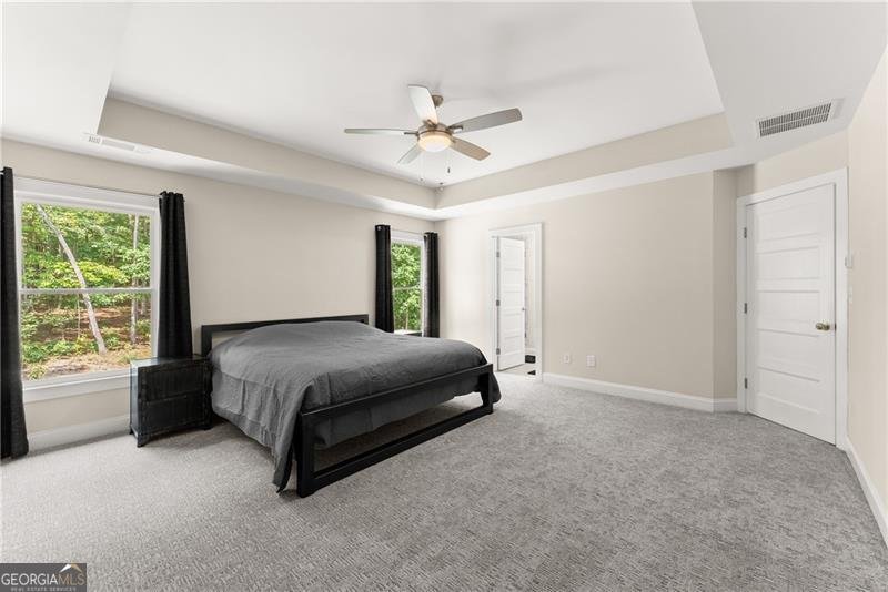 382 Candler Lane Dawsonville - 20