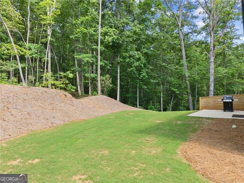 382 Candler Lane Dawsonville - 39