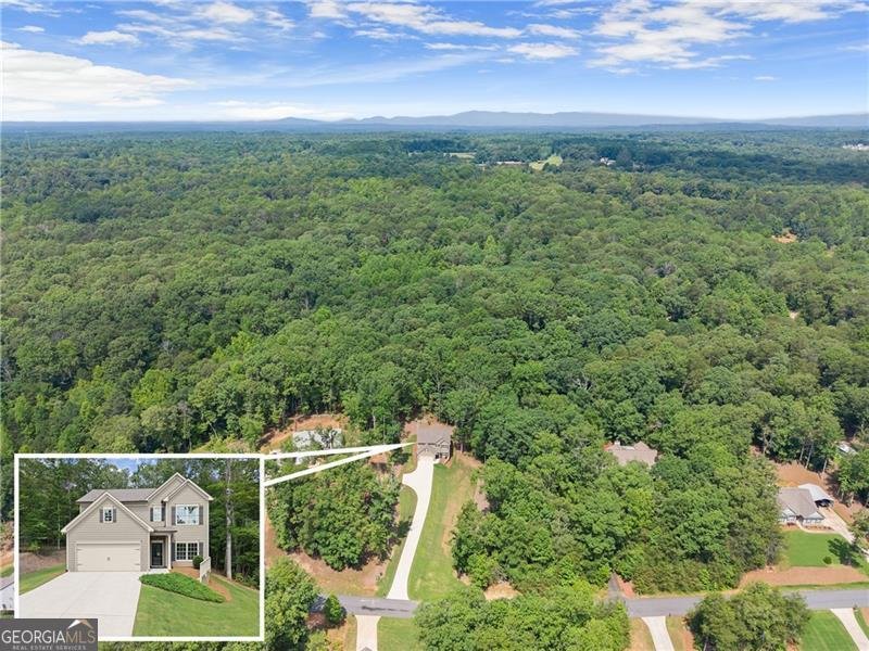 382 Candler Lane Dawsonville - 45