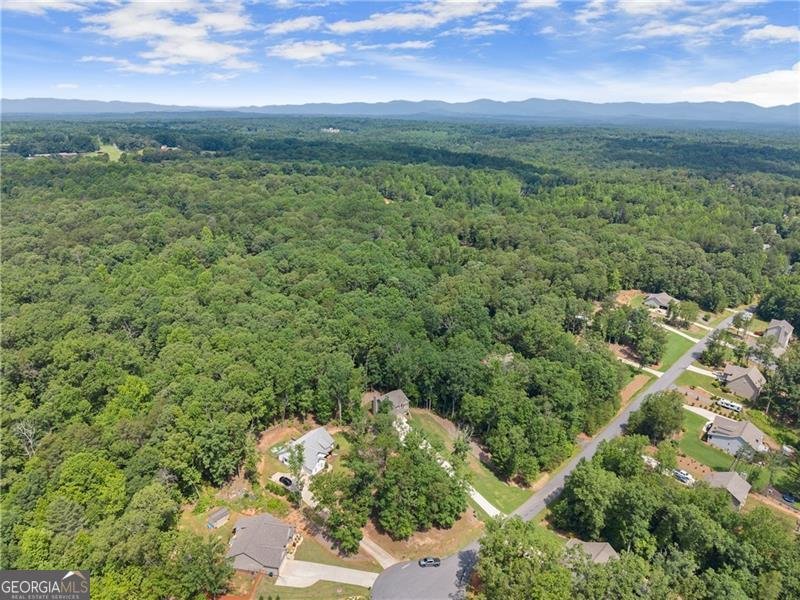 382 Candler Lane Dawsonville - 46