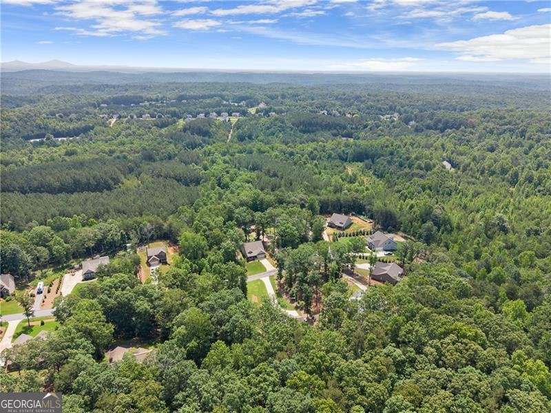 382 Candler Lane Dawsonville - 48