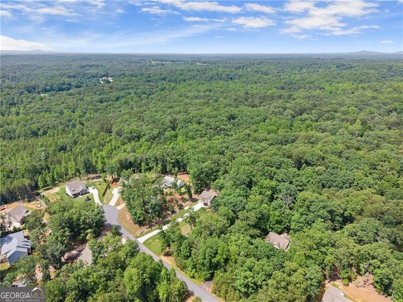 382 Candler Lane Dawsonville - 49