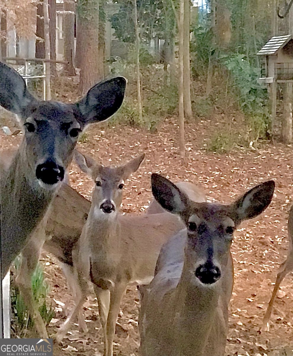 1265 Northshore Drive Roswell - 66