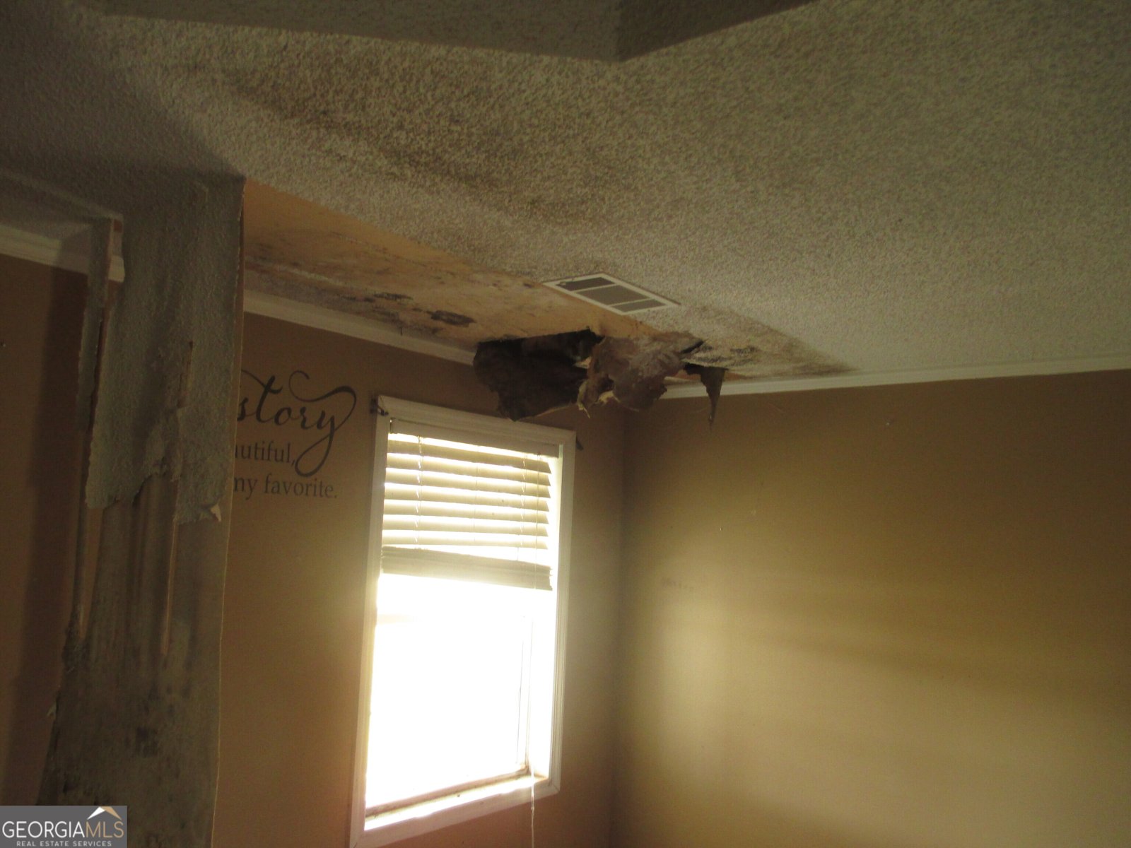 126 Ocmulgee Street Lumber City - 13