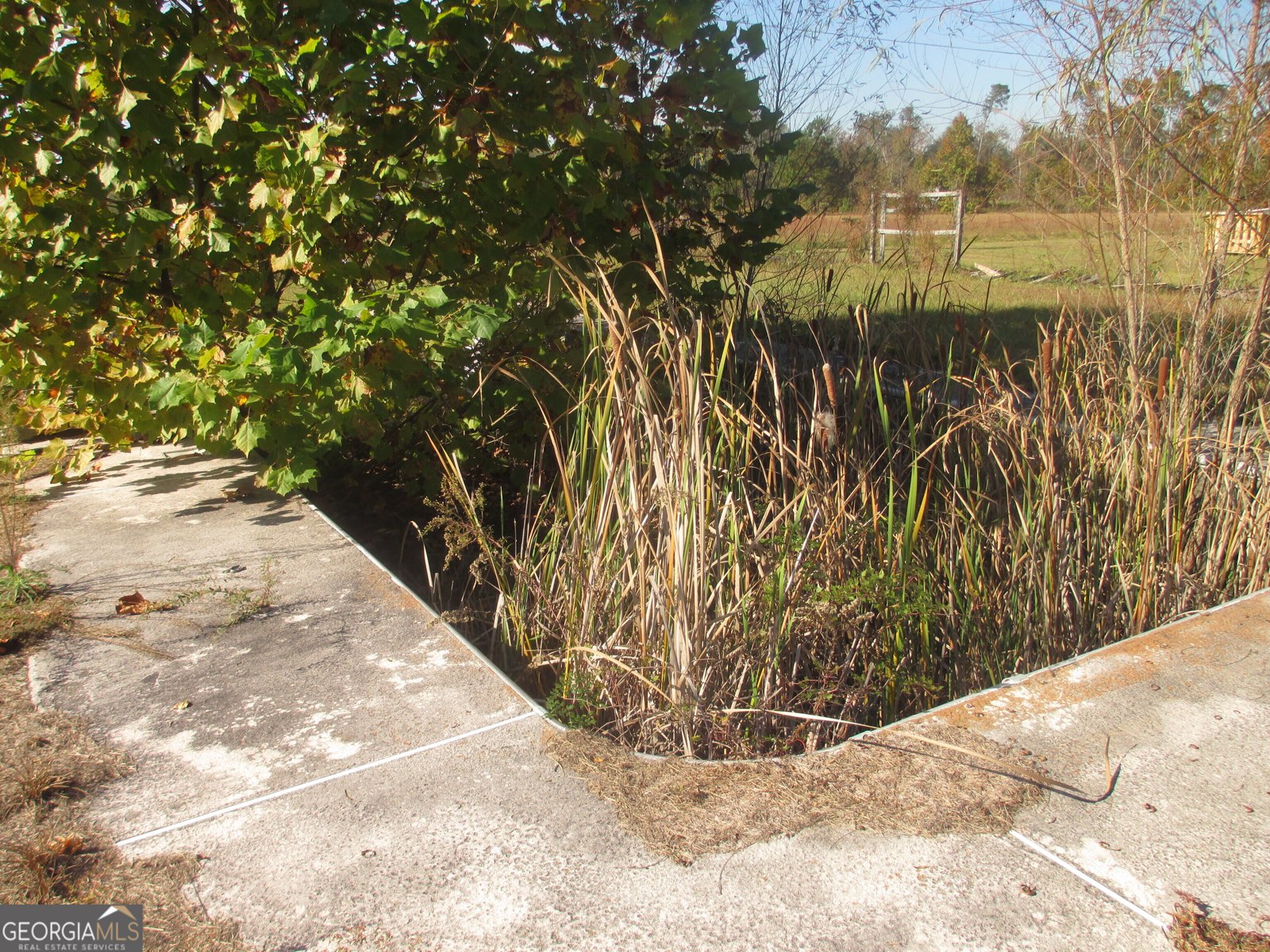 126 Ocmulgee Street Lumber City - 9