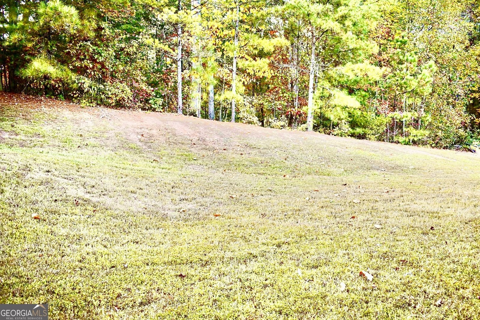 4381 Ash Tree Street Snellville - 41