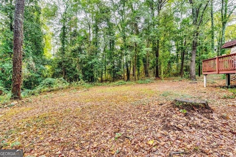 1271 Eastview Road Conyers - 28