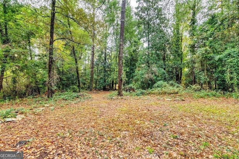 1271 Eastview Road Conyers - 29