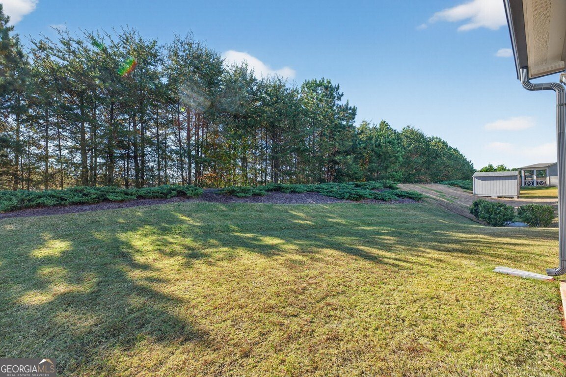 4344 Rockrose Green Way Gainesville - 39