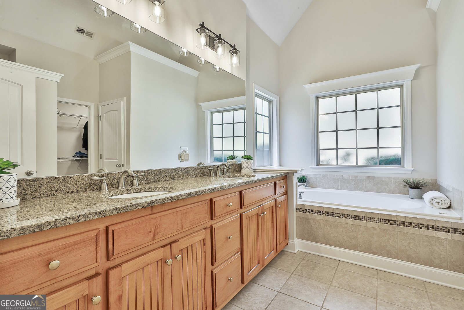 134 Waterwheel Way Senoia - 3