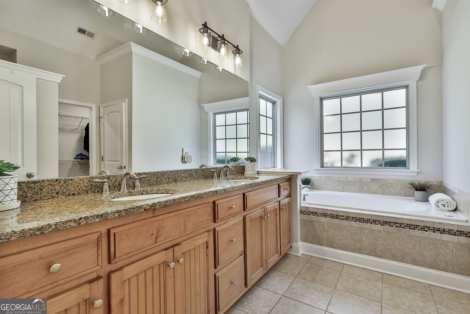 134 Waterwheel Way Senoia - 4