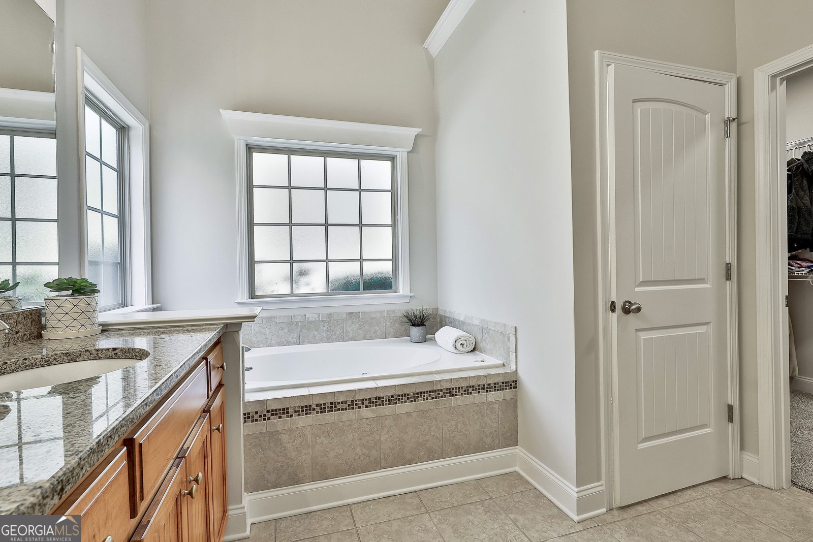 134 Waterwheel Way Senoia - 5