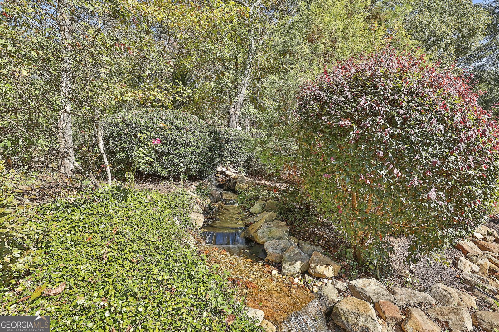 134 Waterwheel Way Senoia - 53