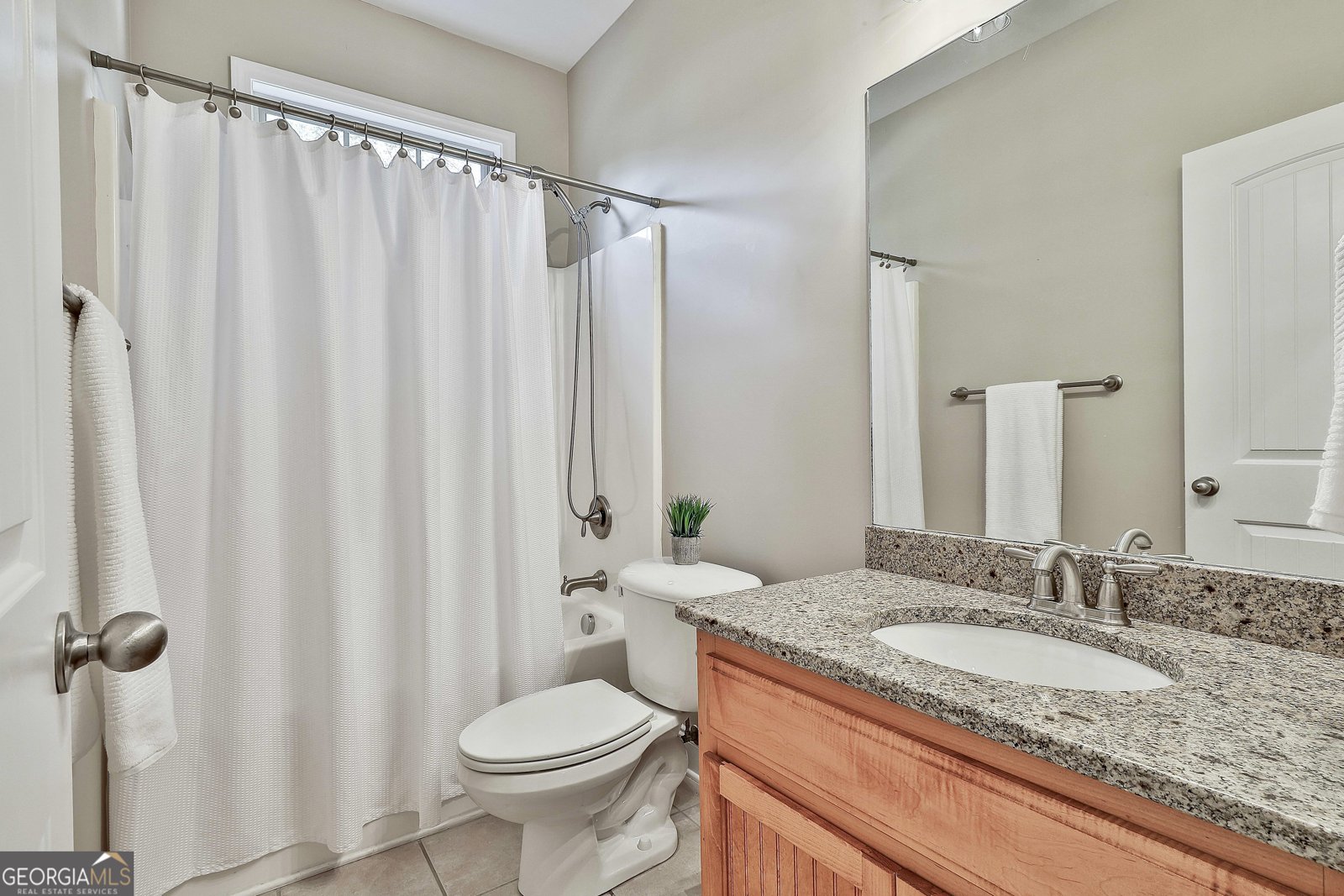 134 Waterwheel Way Senoia - 9