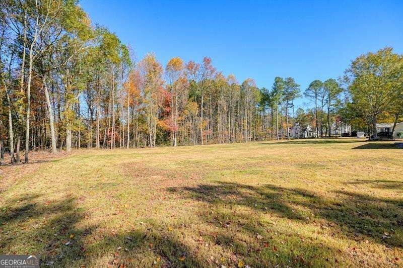 329 Owens Store Road Canton - 12