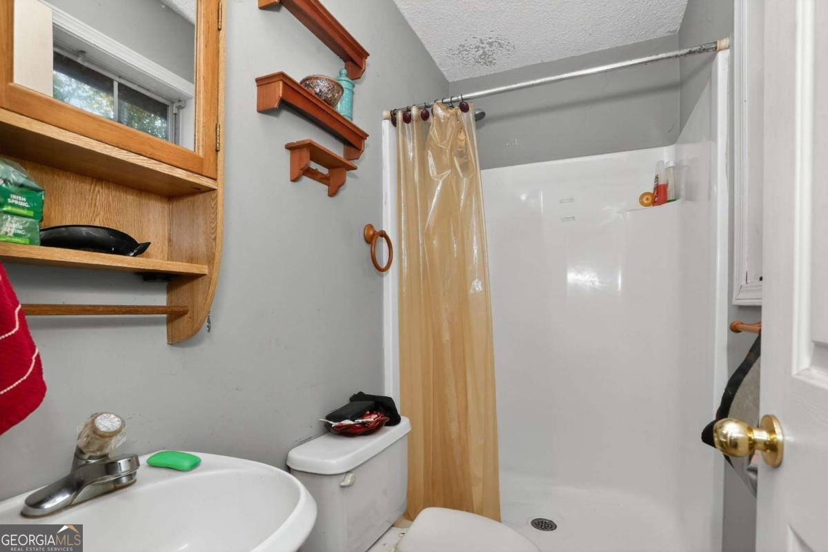 239 Castleberry Lane Dawsonville - 15