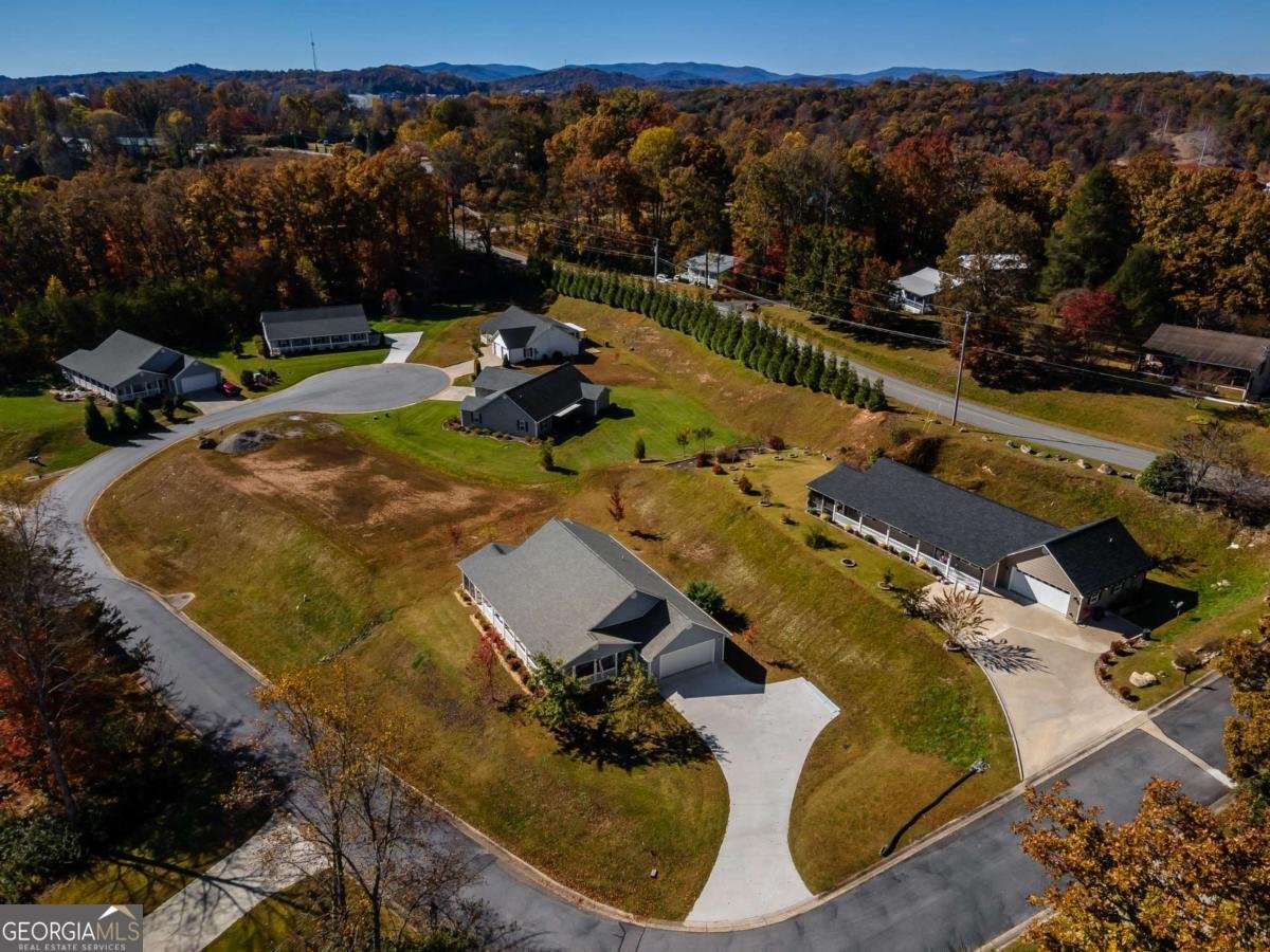 123 Hunter Lane Blue Ridge - 17