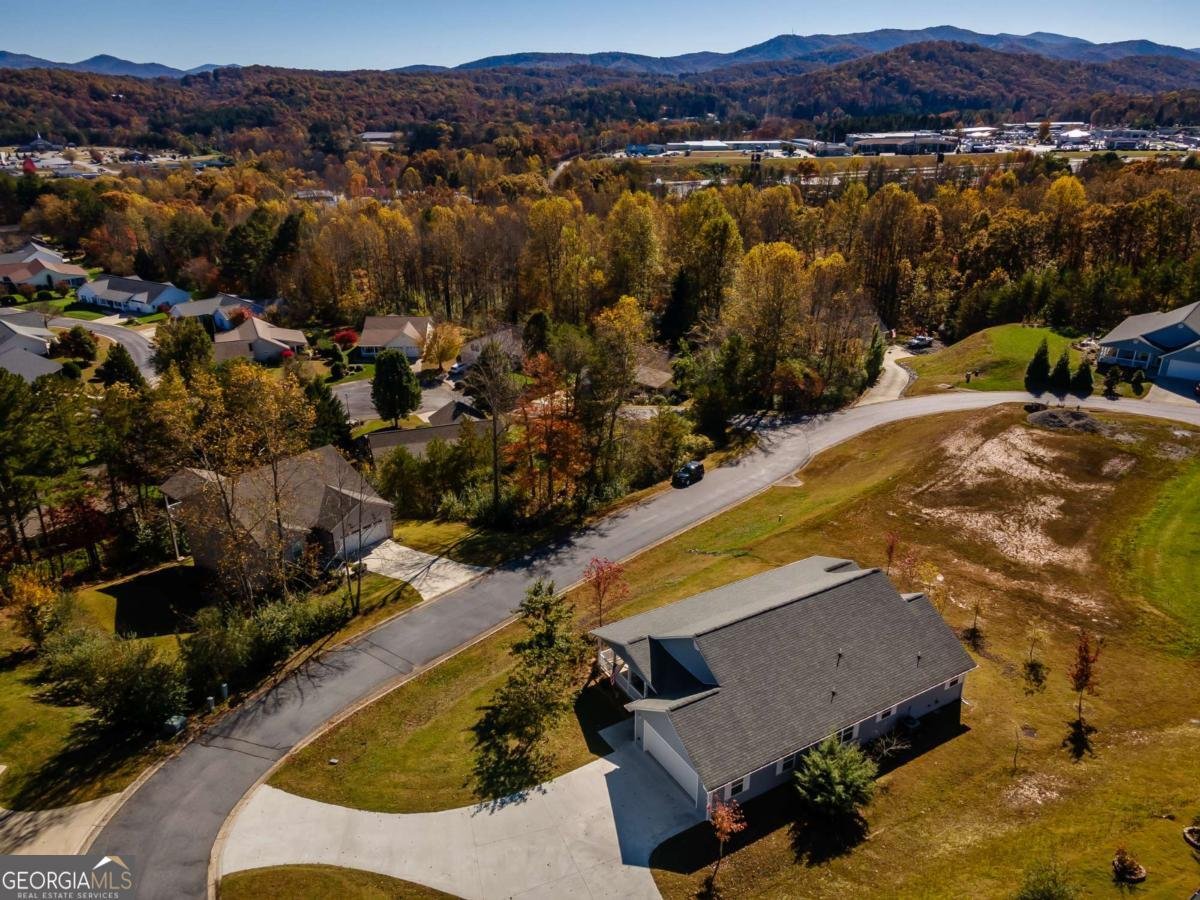 123 Hunter Lane Blue Ridge - 19