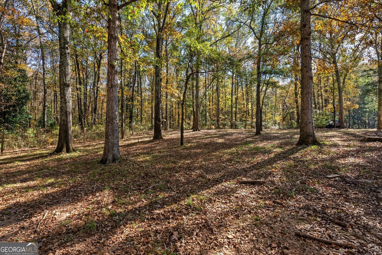 2214 Hays Mill Road Carrollton - 5