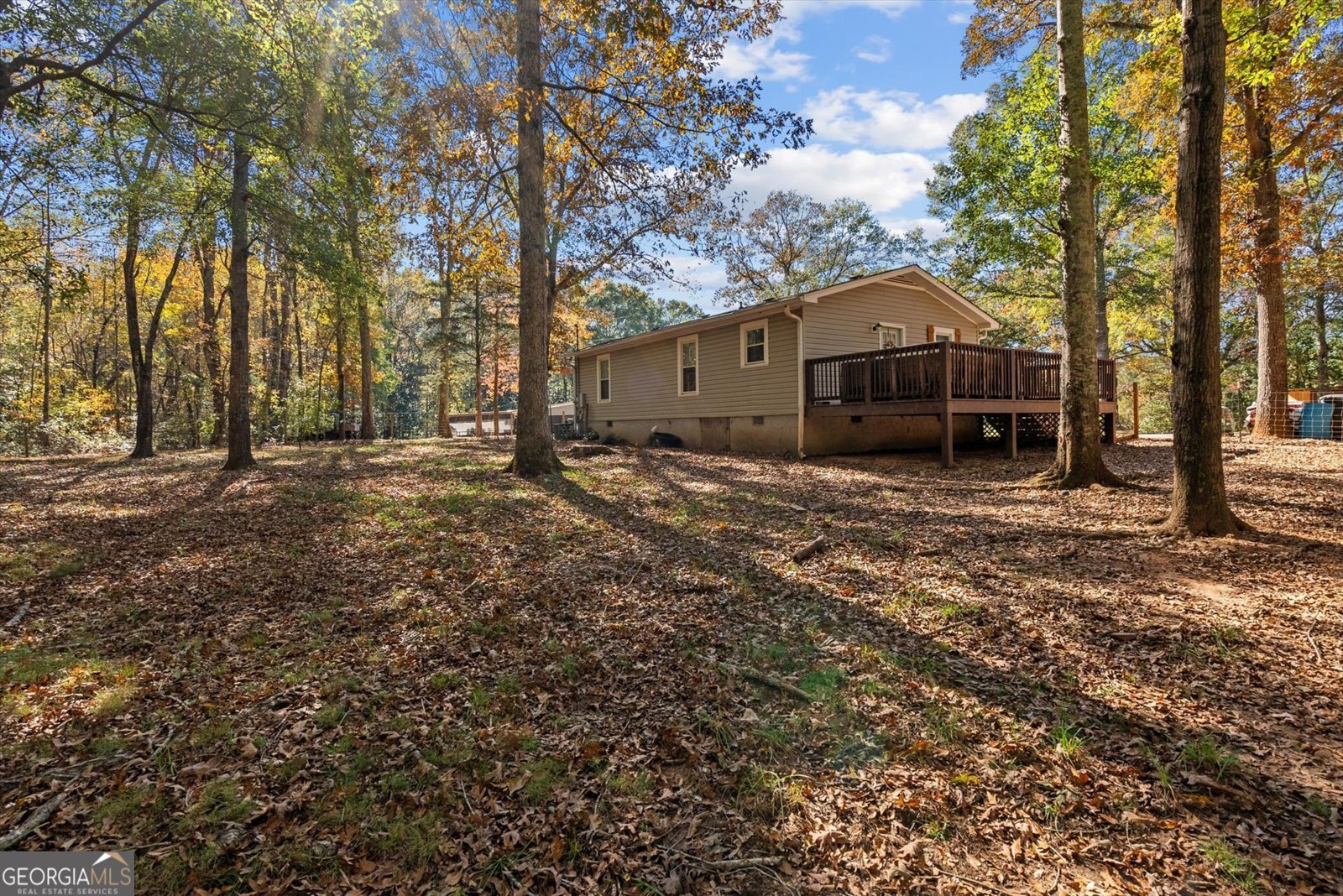 2214 Hays Mill Road Carrollton - 6