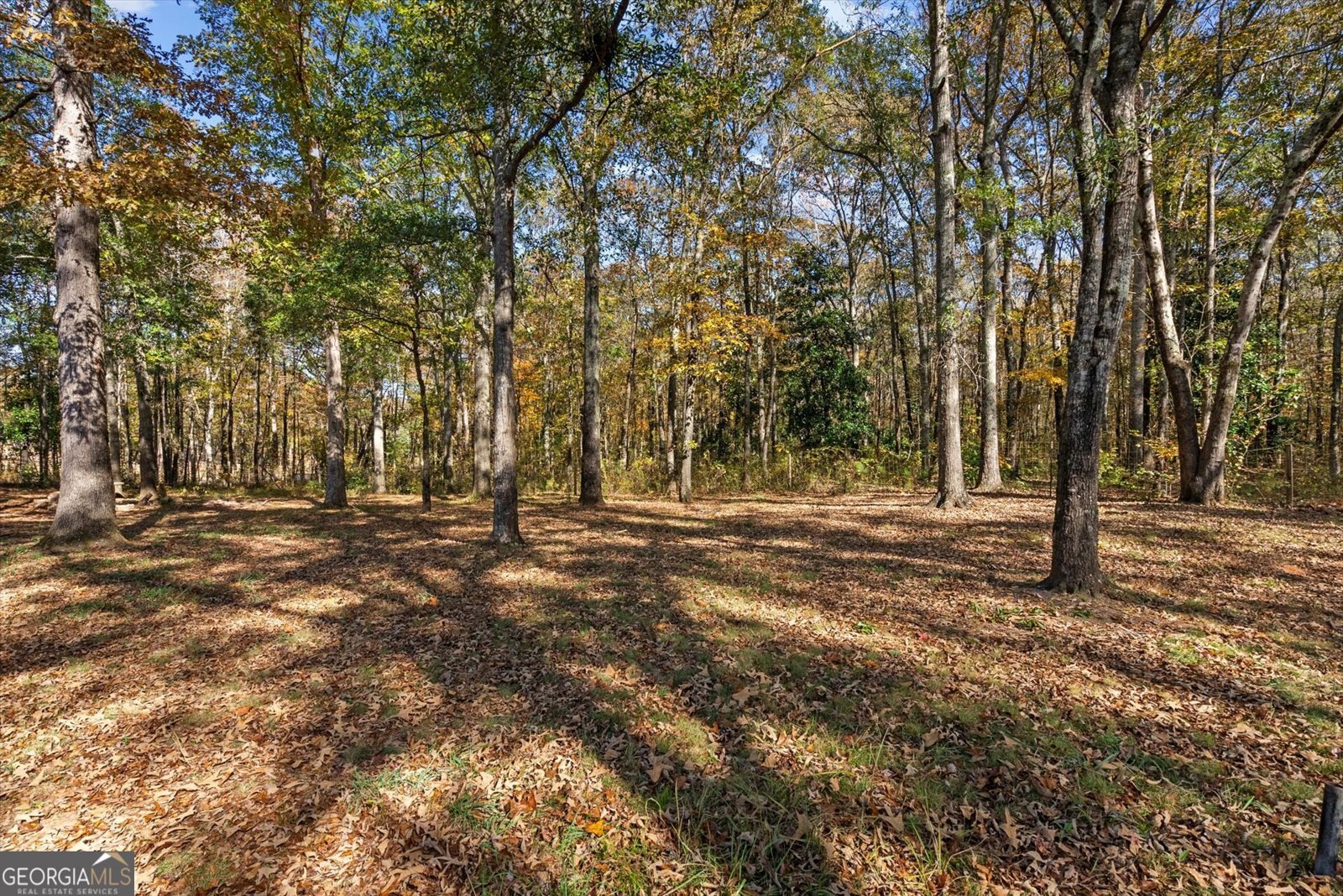 2214 Hays Mill Road Carrollton - 8