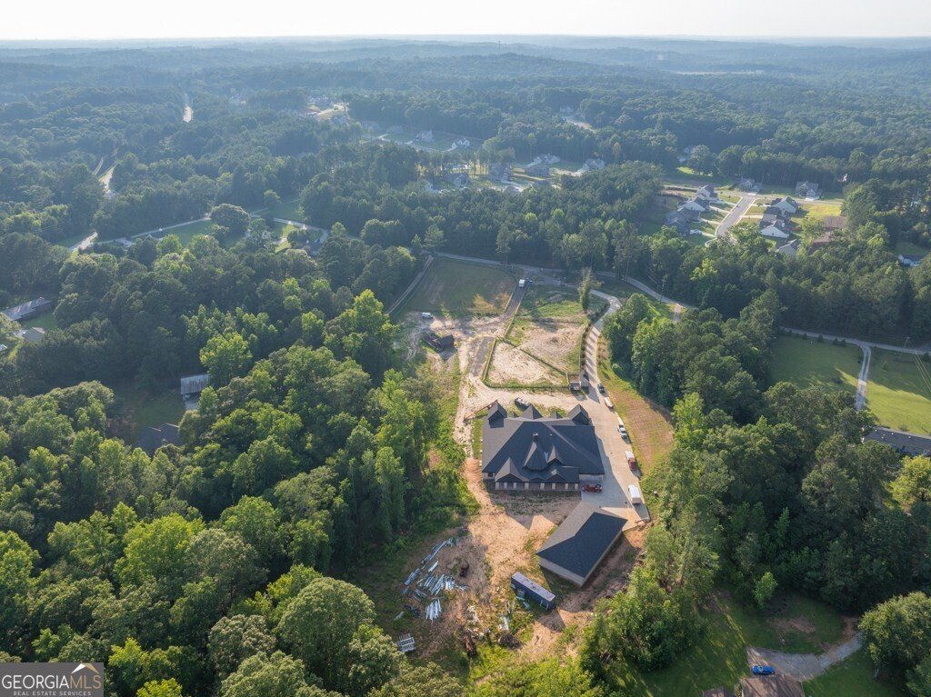 1730 Etchison SPUR Loganville - 91