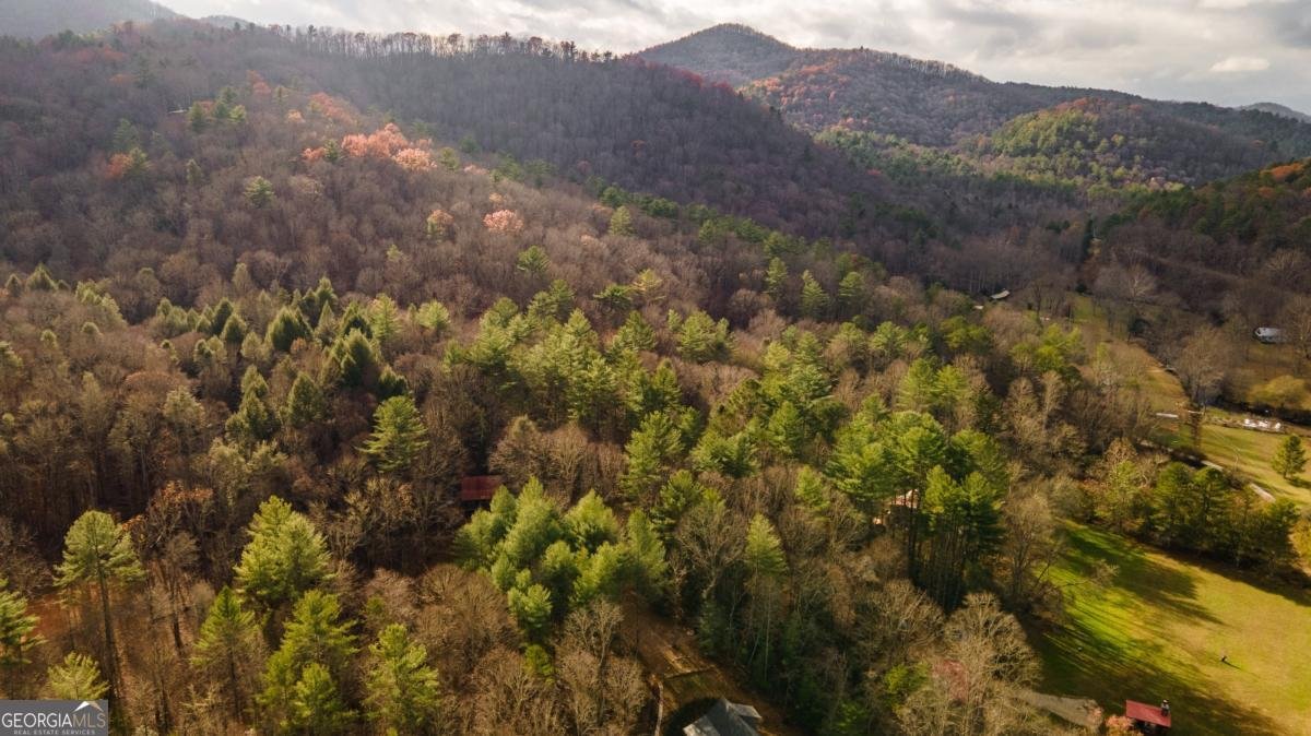 88 Brown Mountain Place Suches - 23