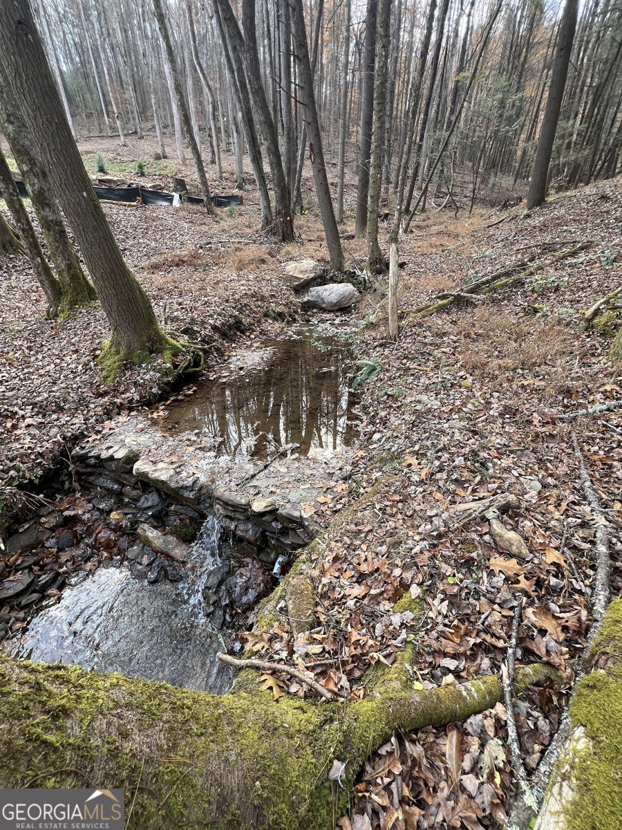 88 Brown Mountain Place Suches - 30