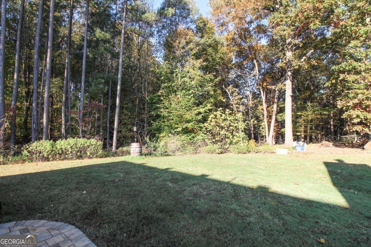 123 Conifer Court Winterville - 36