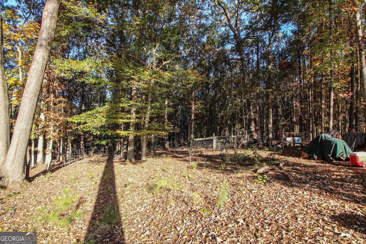 123 Conifer Court Winterville - 38