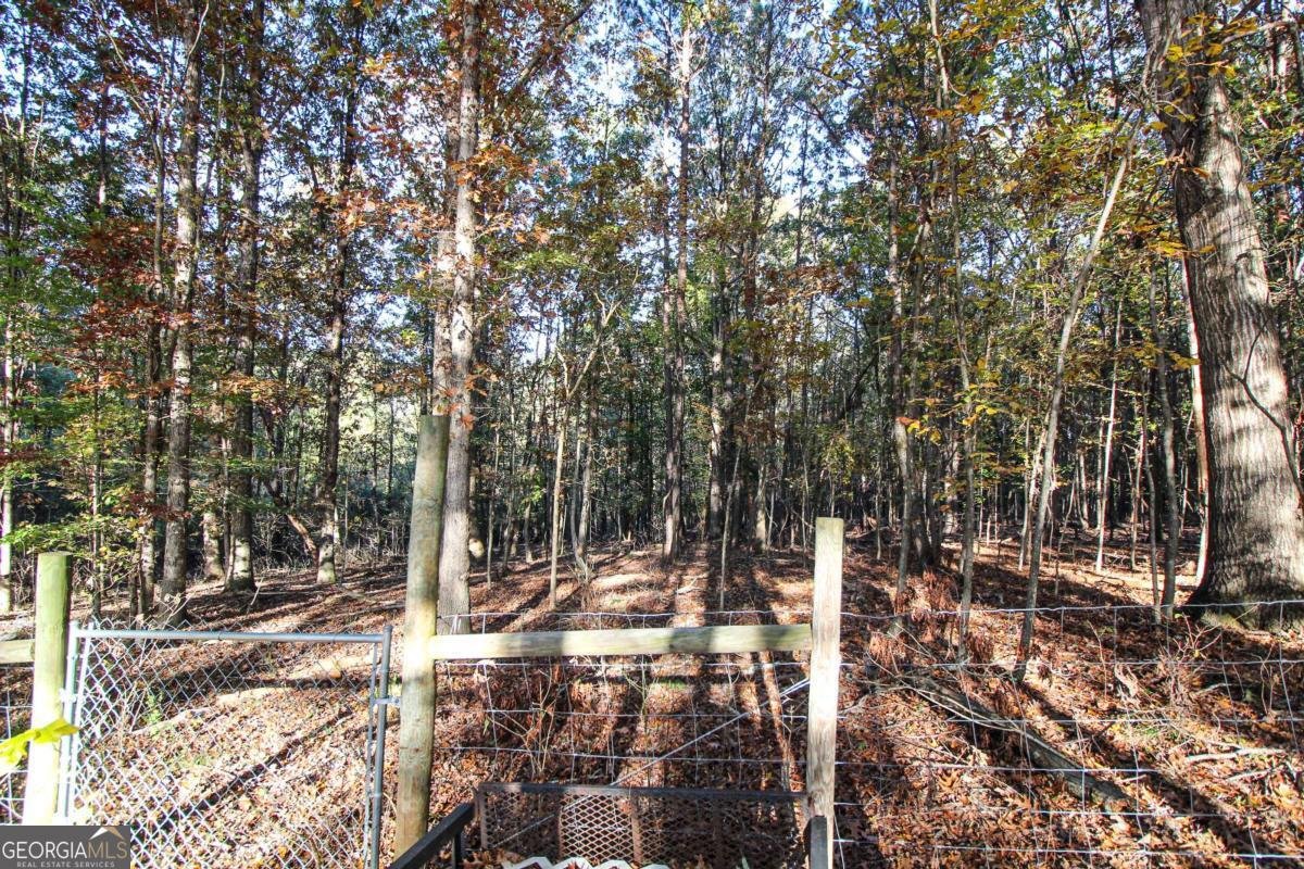 123 Conifer Court Winterville - 39