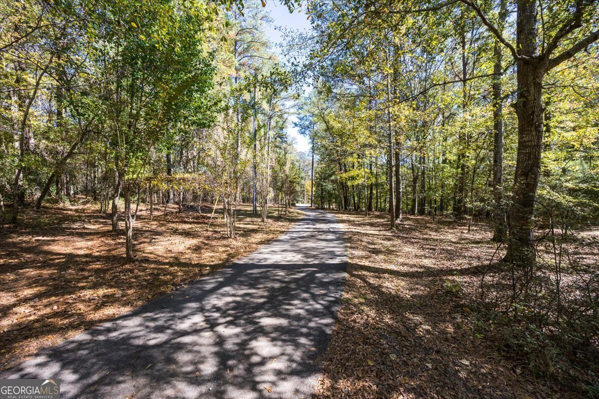 337 Searcy Drive Juliette - 25