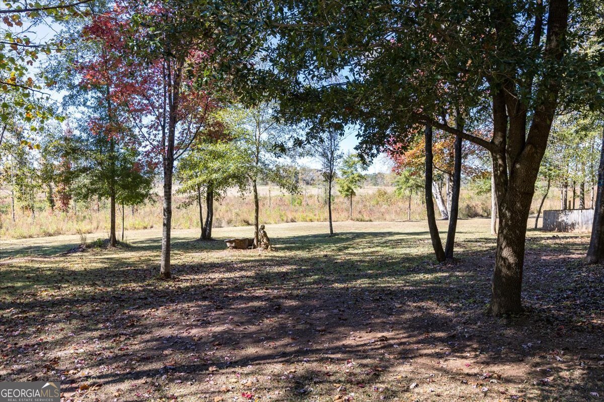 337 Searcy Drive Juliette - 29