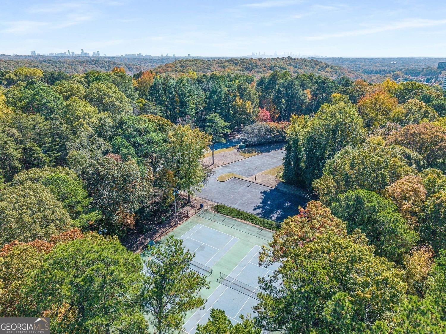 1205 Highland Bluff Drive Atlanta - 23