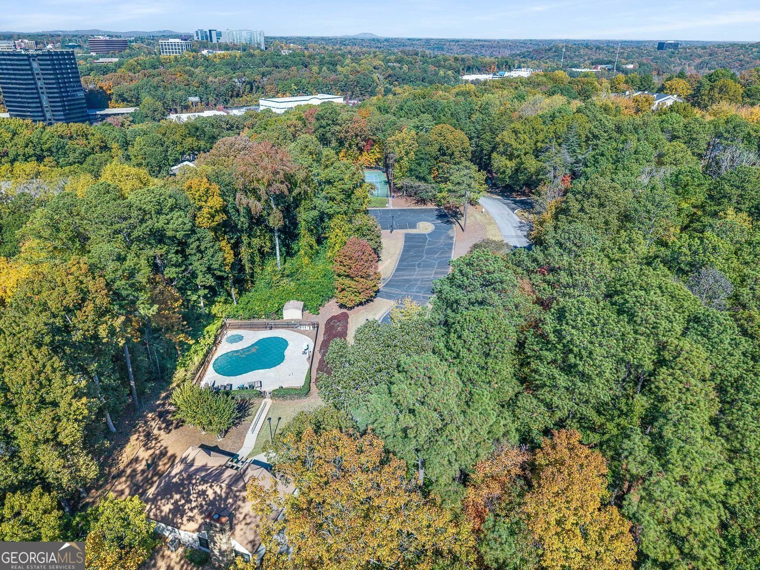 1205 Highland Bluff Drive Atlanta - 27