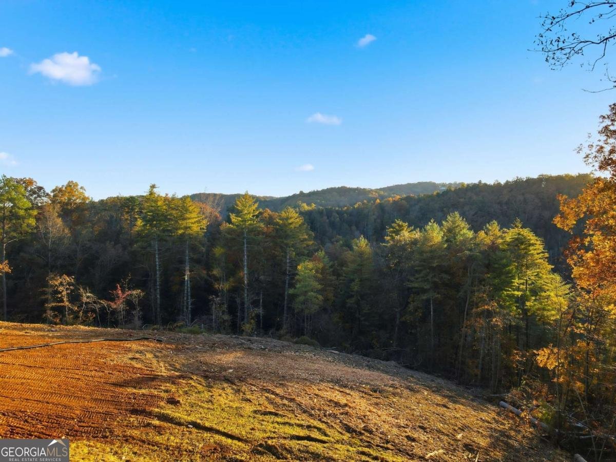 1783 Hunter Drive Ranger - 2