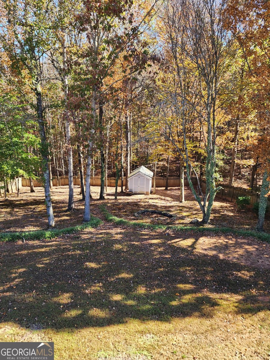 2353 Bluff Creek Overlook Douglasville - 44