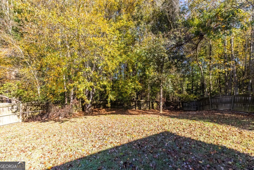 3501 Bogan Mill Road Buford - 24