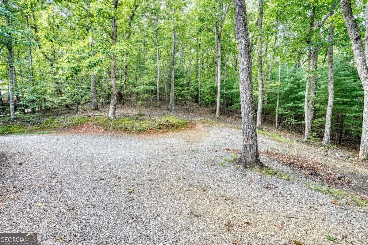 70 Martys Drive Blairsville - 49