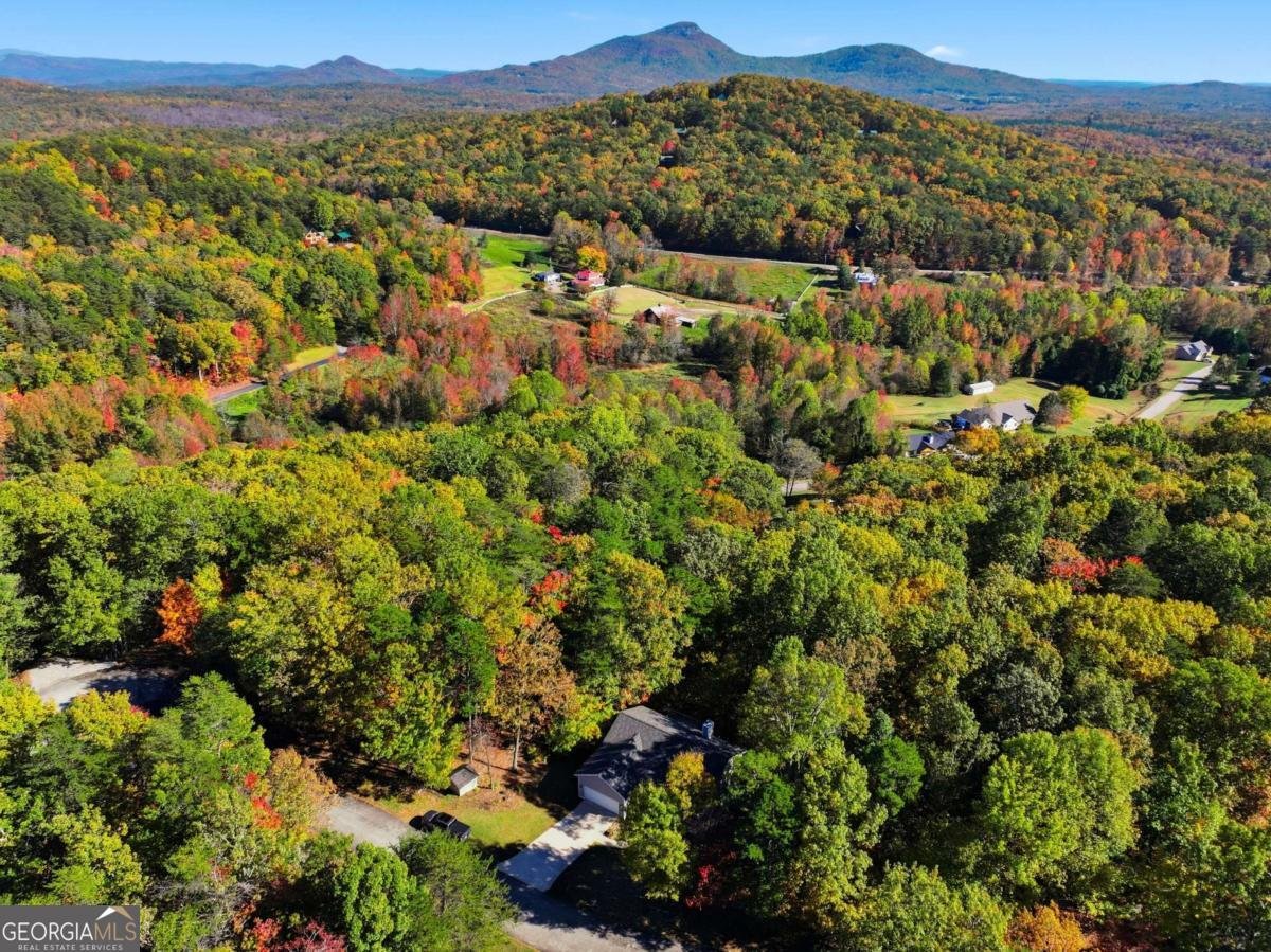 622 Spring Crest Road Cleveland - 46