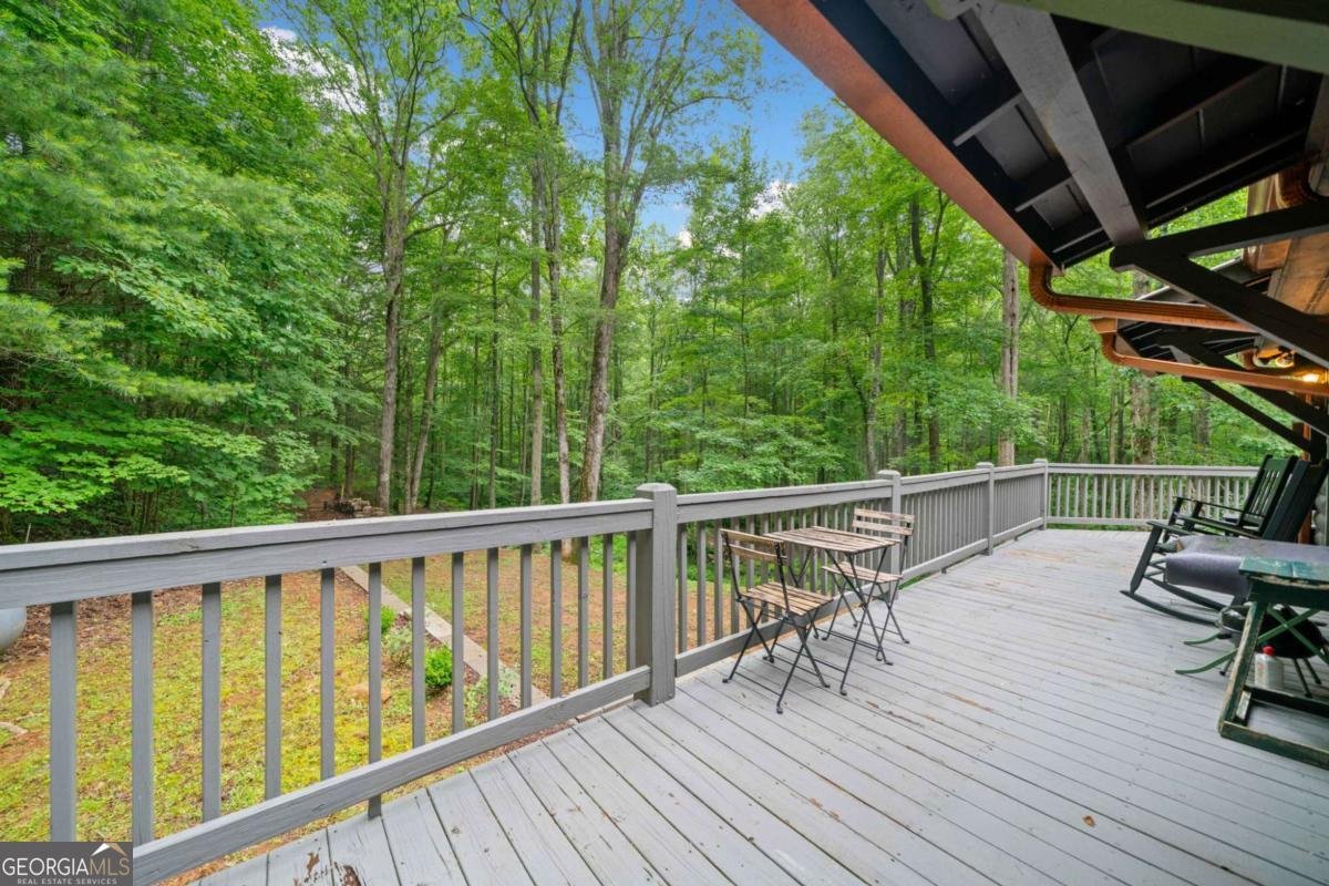 64 BEAR BELLY Path Ellijay - 10