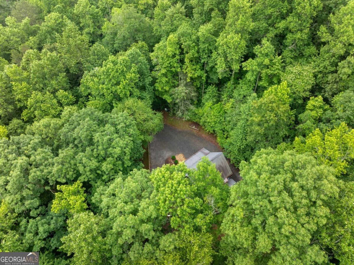 64 BEAR BELLY Path Ellijay - 11