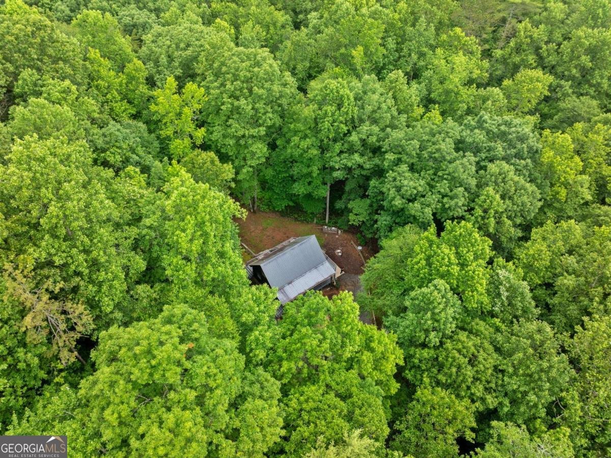 64 BEAR BELLY Path Ellijay - 12