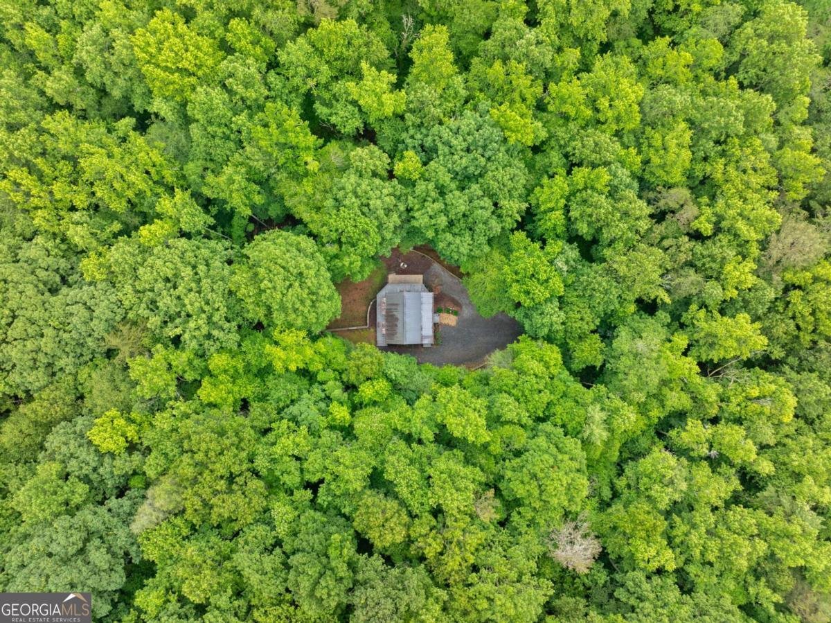 64 BEAR BELLY Path Ellijay - 13