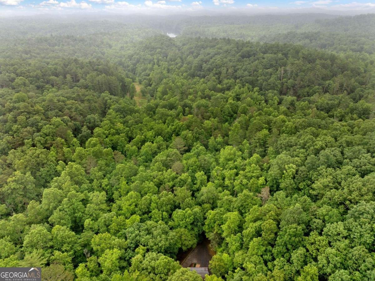 64 BEAR BELLY Path Ellijay - 14