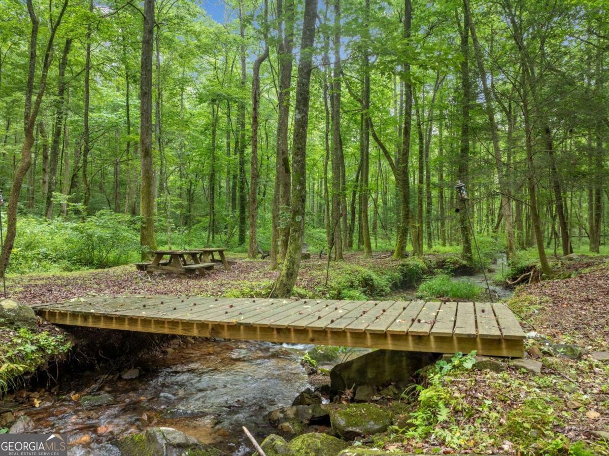 64 BEAR BELLY Path Ellijay - 16