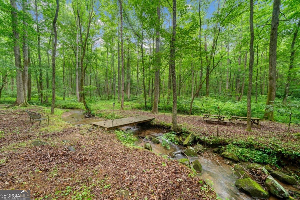 64 BEAR BELLY Path Ellijay - 17