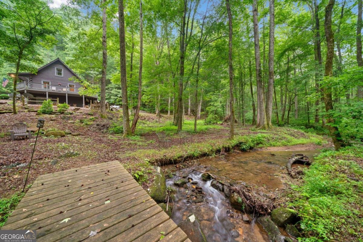 64 BEAR BELLY Path Ellijay - 18